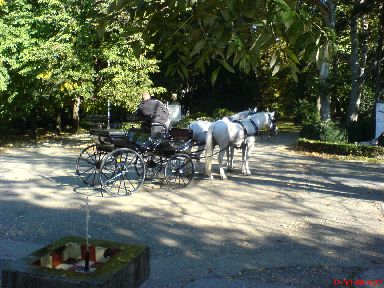 Parcul Municipal din Vârșeț — fotografija 8