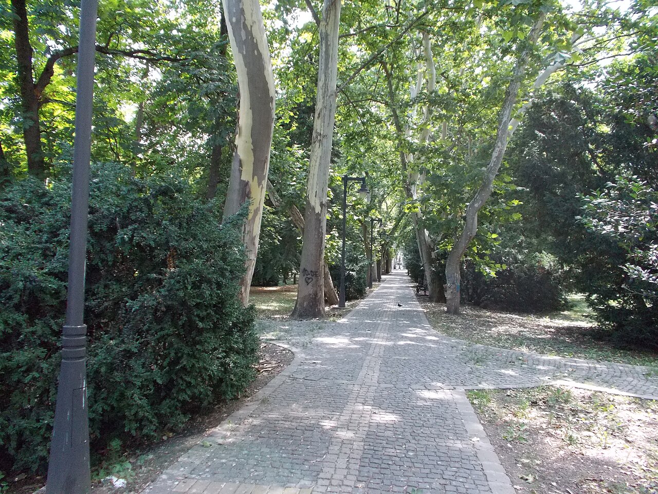 Parcul Municipal din Vârșeț — fotografija 5