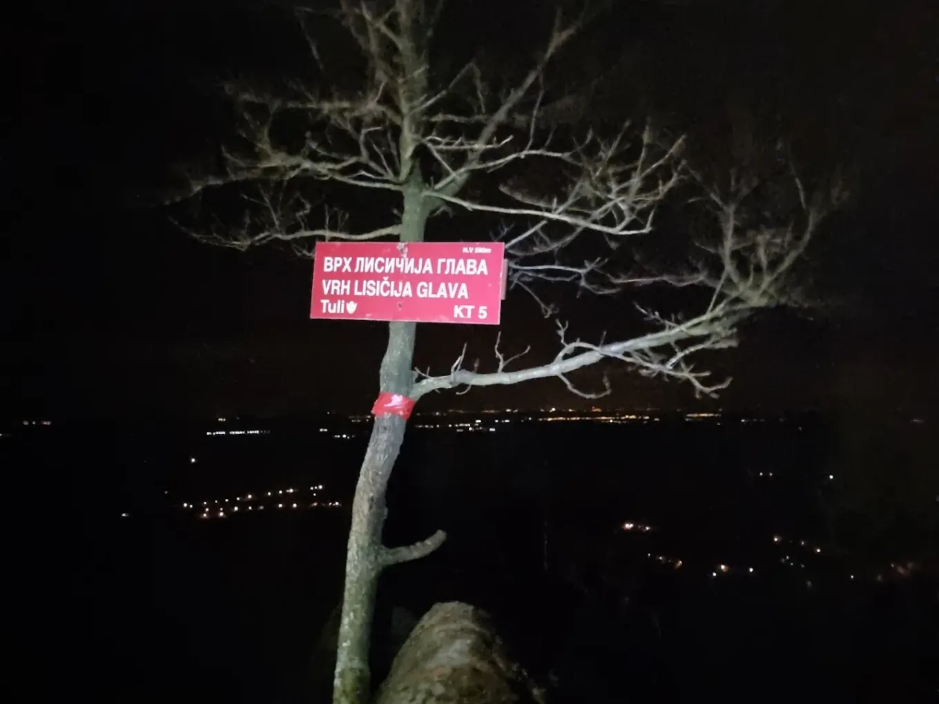 Lisičija glava