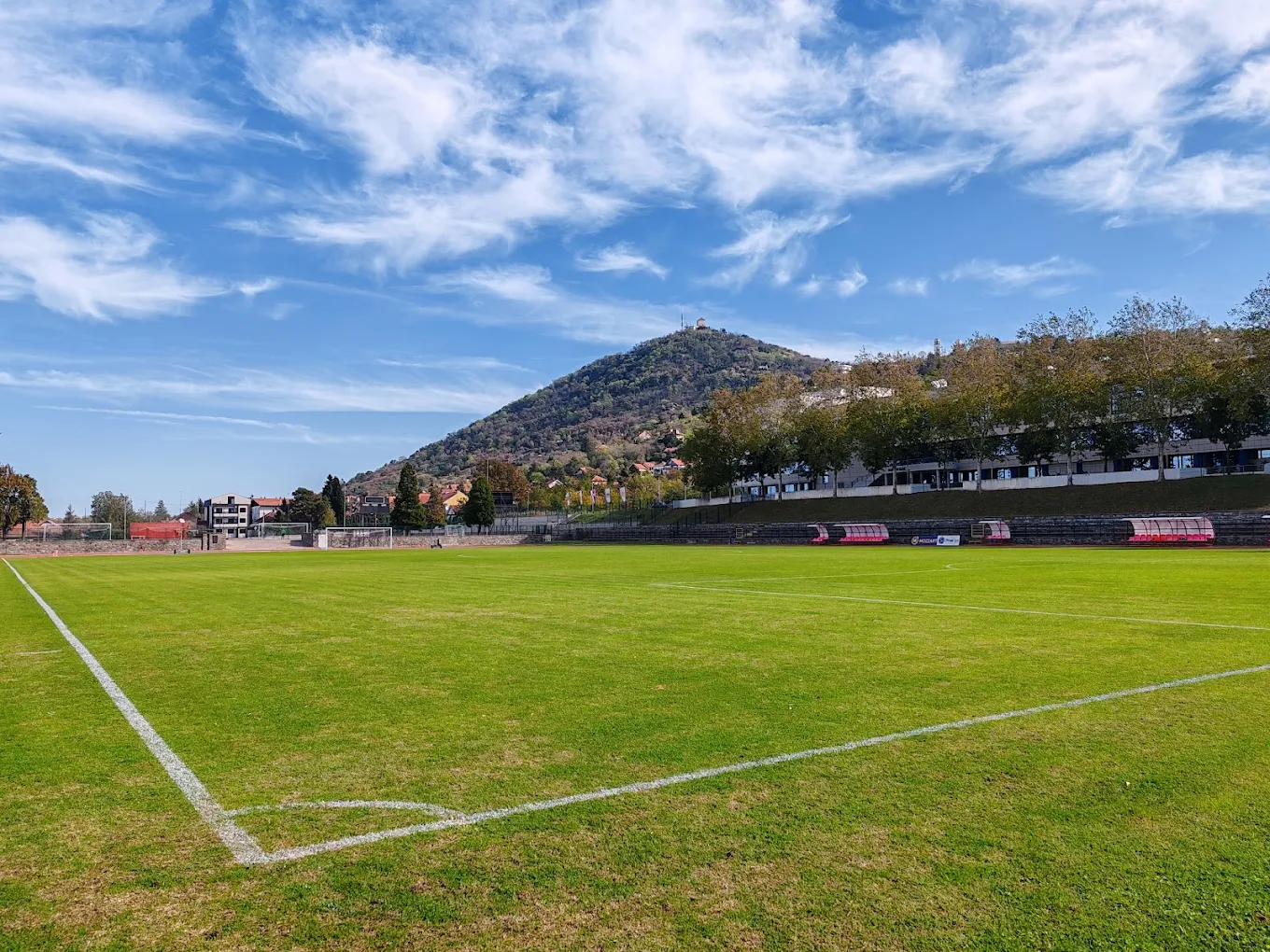 Gradski stadion