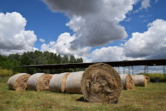 Farma Broj 1